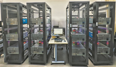 28圈(中国游)官方网站