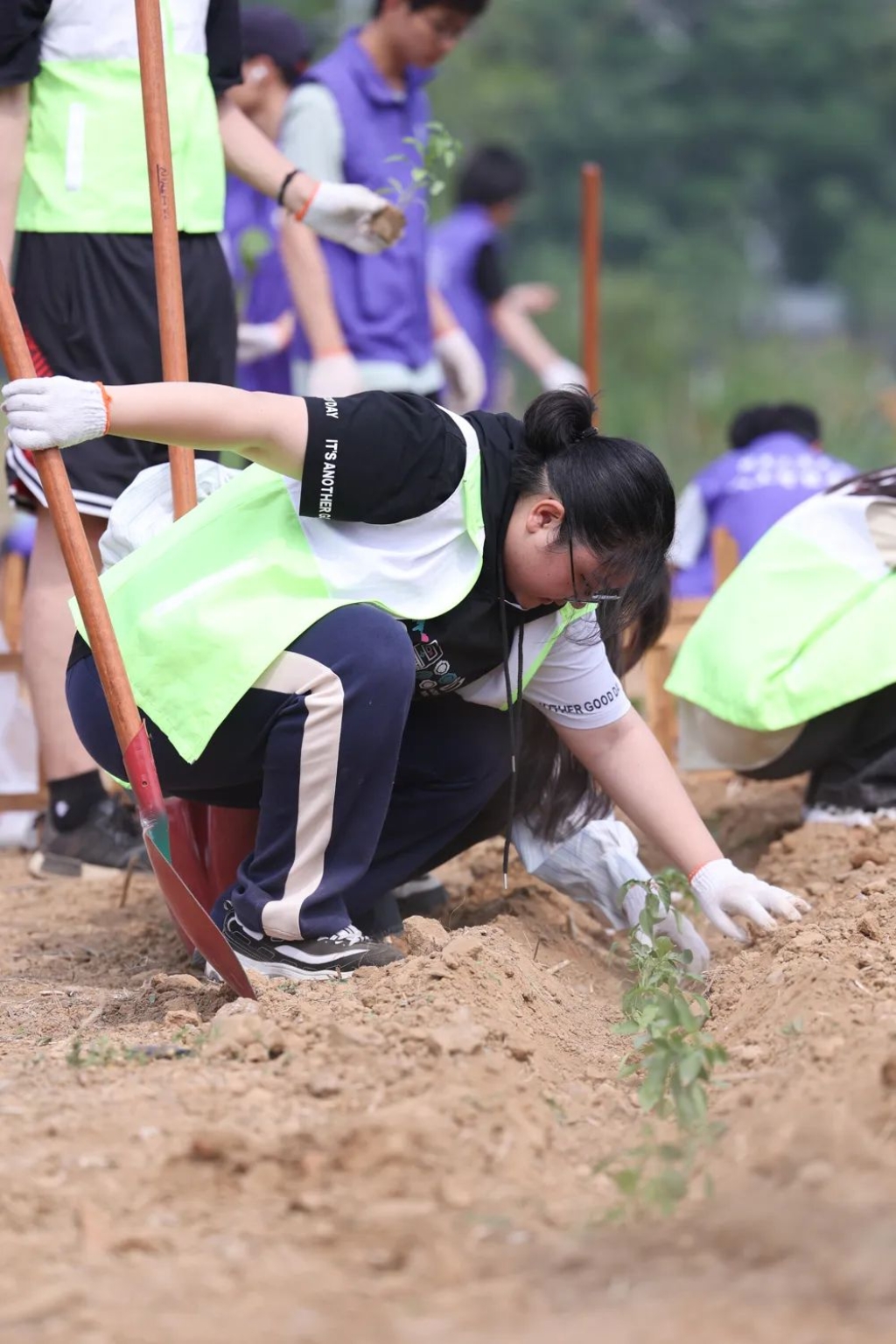 28圈(中国游)官方网站