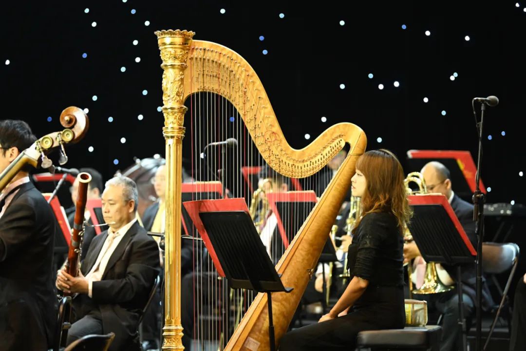 28圈(中国游)官方网站