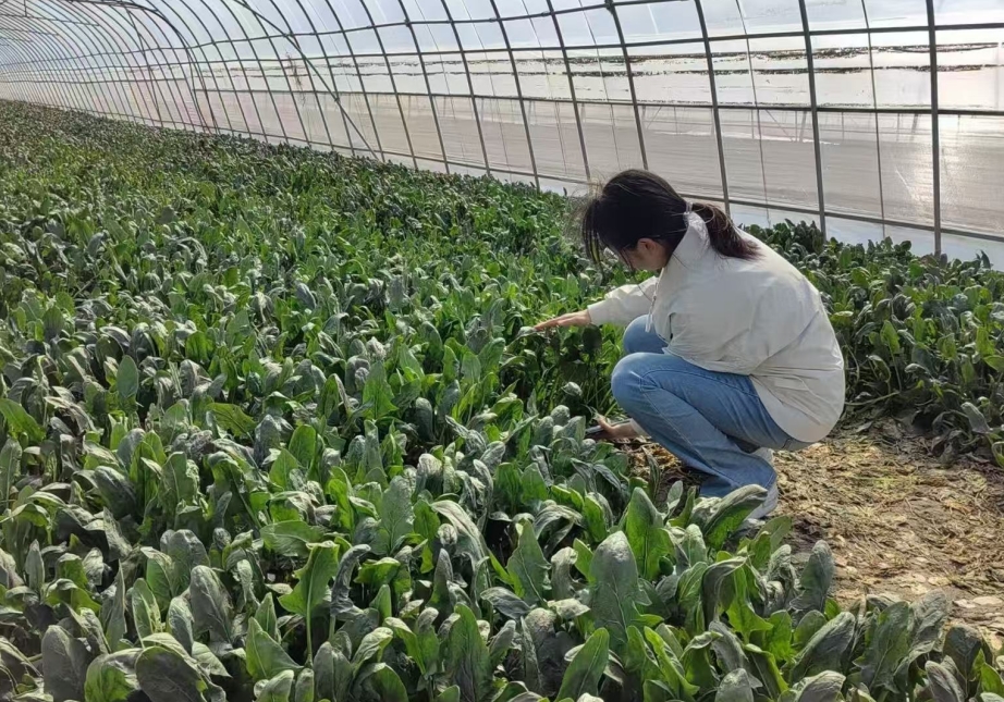 28圈(中国游)官方网站