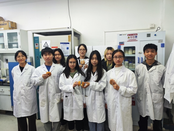 28圈(中国游)官方网站